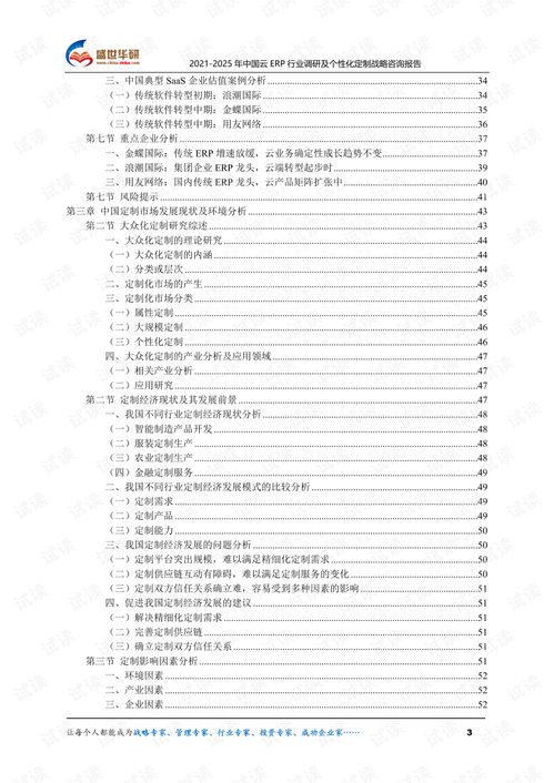 2021 2025年中國云ERP行業調研及個性化定制戰略咨詢報告.pdf