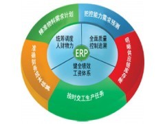 最專業的ERP定制系統/定制ERP品牌